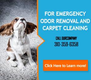Contact Us | 310-359-6358 | Carpet Cleaning Carson, CA